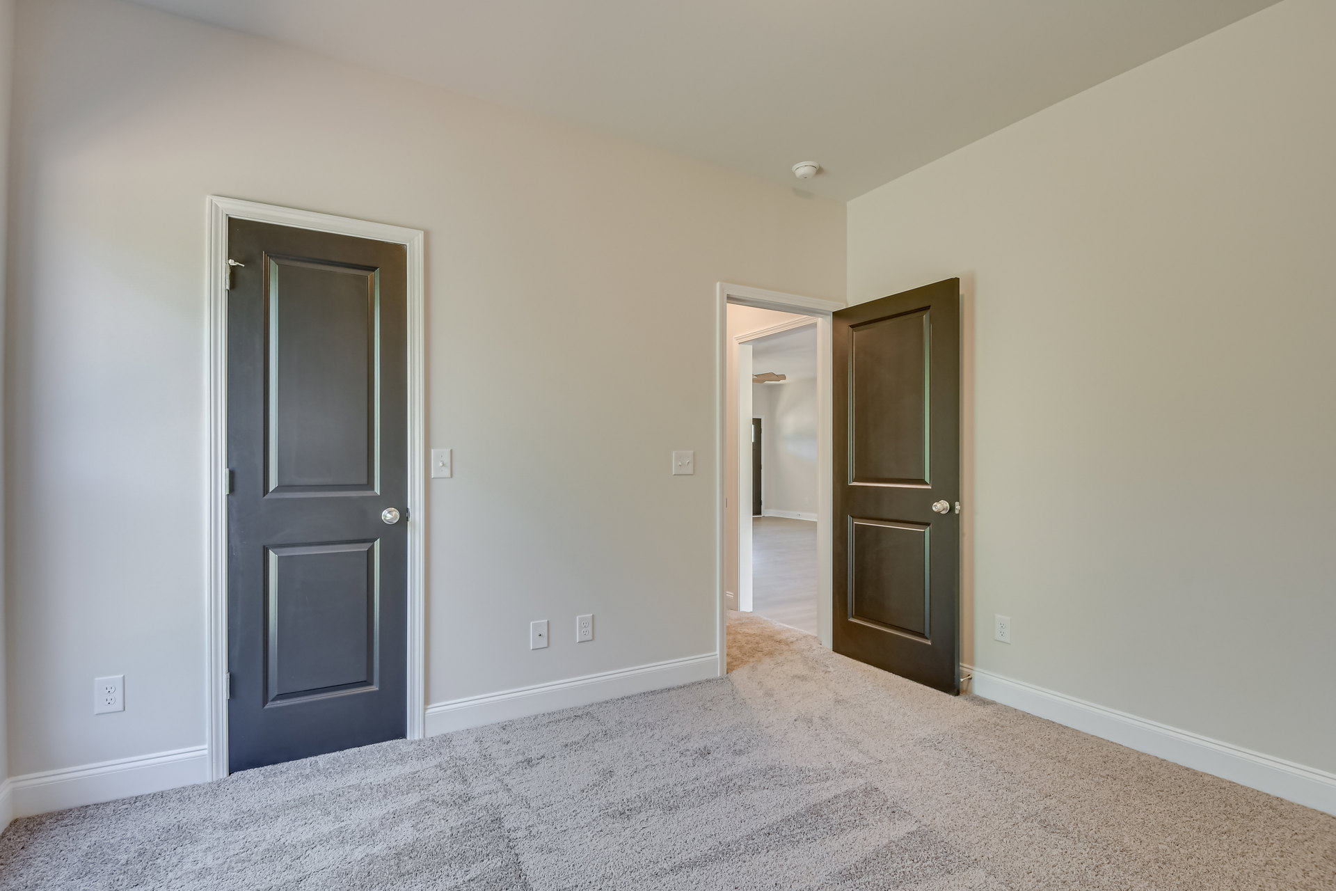 Neutral-toned room with carpet flooring, two white doors, electrical outlets, and a black cabinet with white trim against plaster walls
