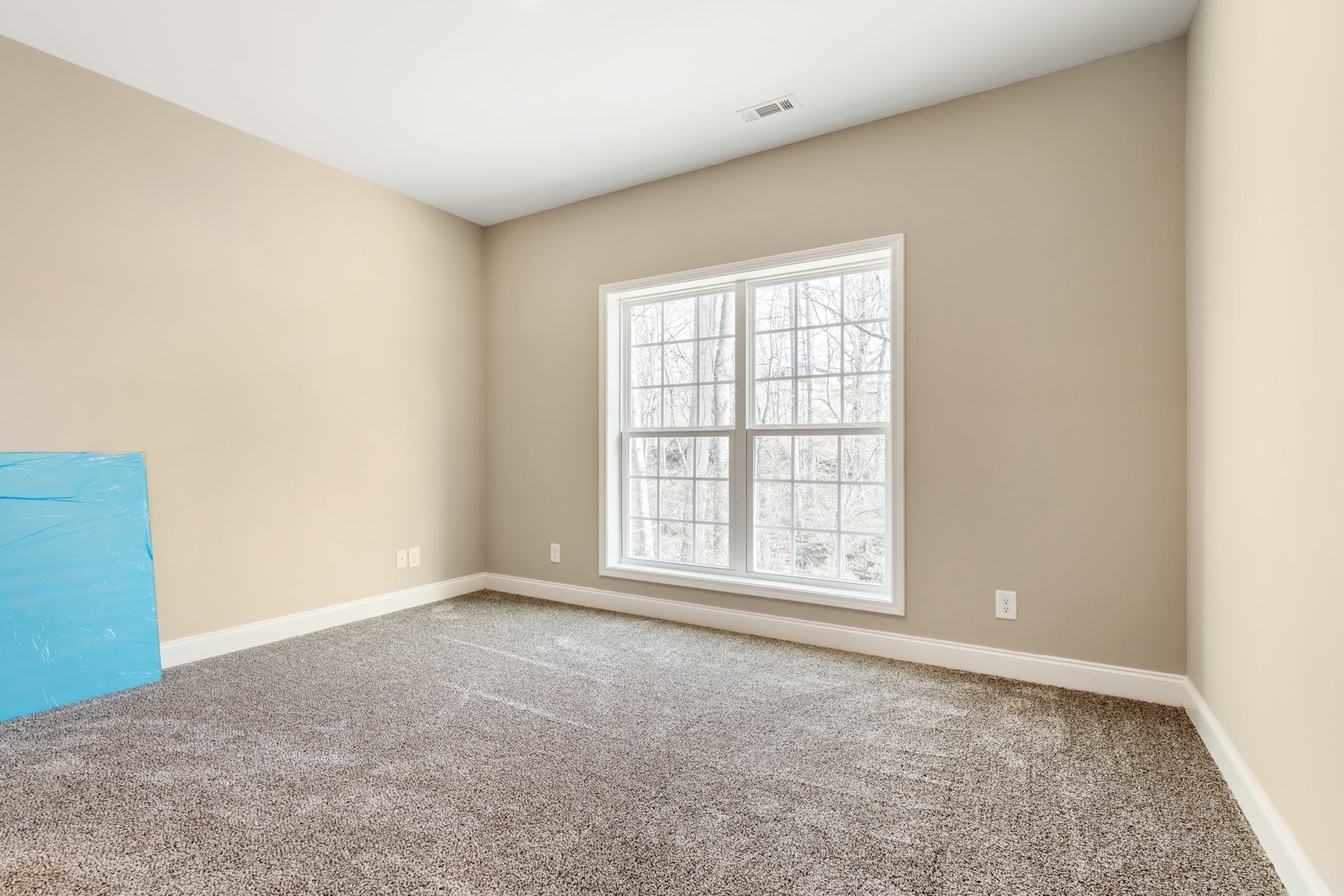 Carpeted room with large window overlooking trees, white walls, and ceiling