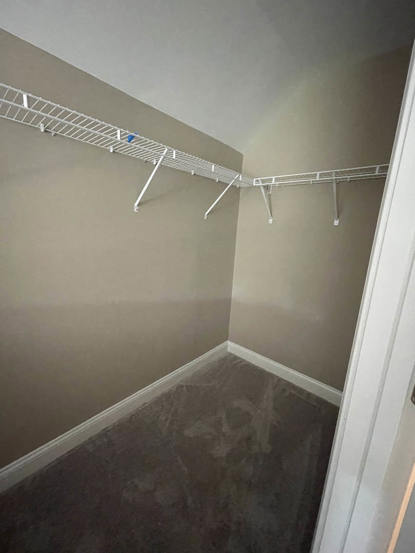 Walk-in closet with white built-in shelves, grey carpeted floor, white metal hanging rod, and white door against smooth white walls