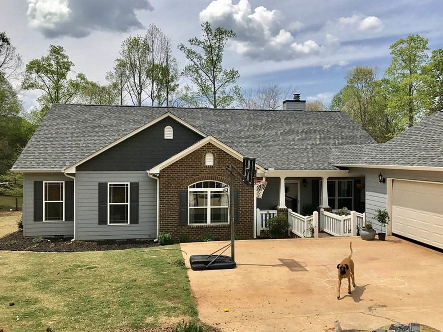A dog walking in front of a house.