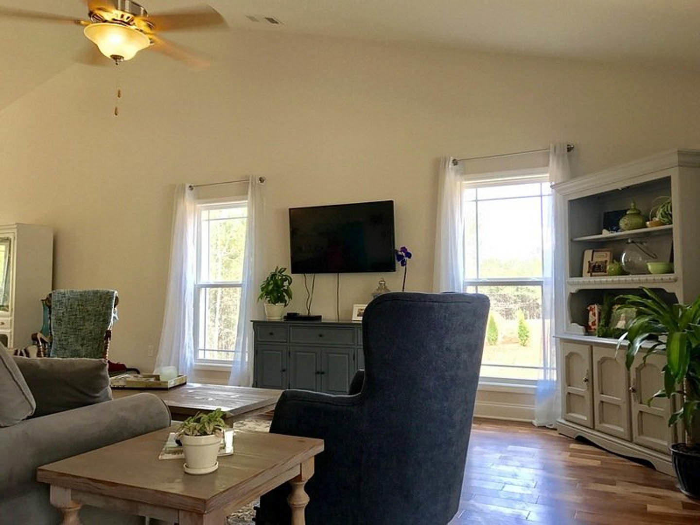 Modern living room with light wood floors, gray couch draped with a blanket, wall-mounted black TV, potted plant on a round table, and neutral walls.
