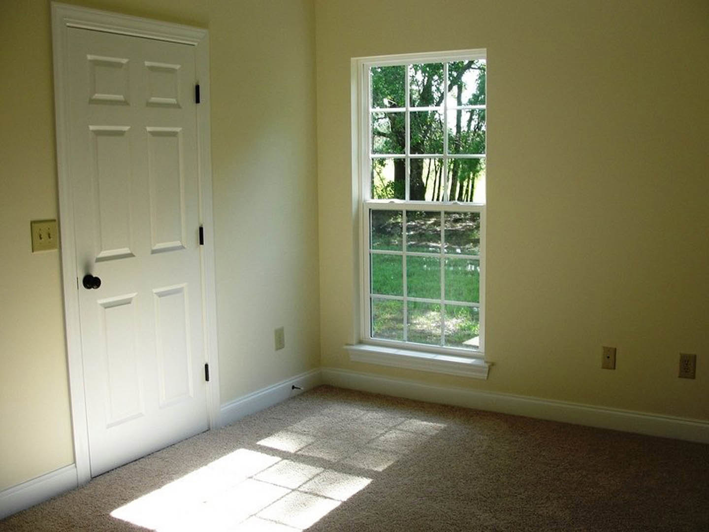 White paneled door with black knob beside double window overlooking grassy forest, beige carpet flooring, white walls, and two-switch light fixture