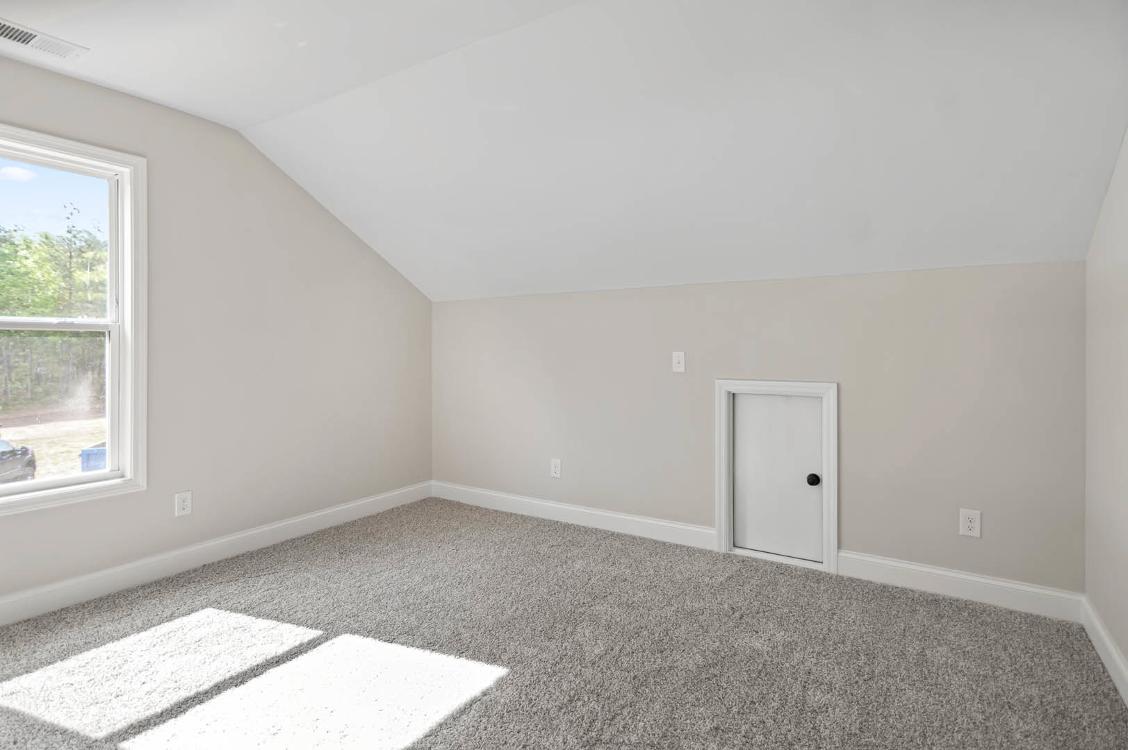 Neutral-toned carpeted room with white walls, white door featuring a black knob, large window overlooking green trees