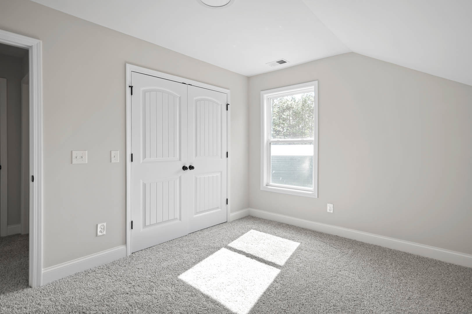 Grey carpeted room with white door featuring black handle and knobs, rectangular window showing green trees outside, white light switch with two toggles on light-colored wall