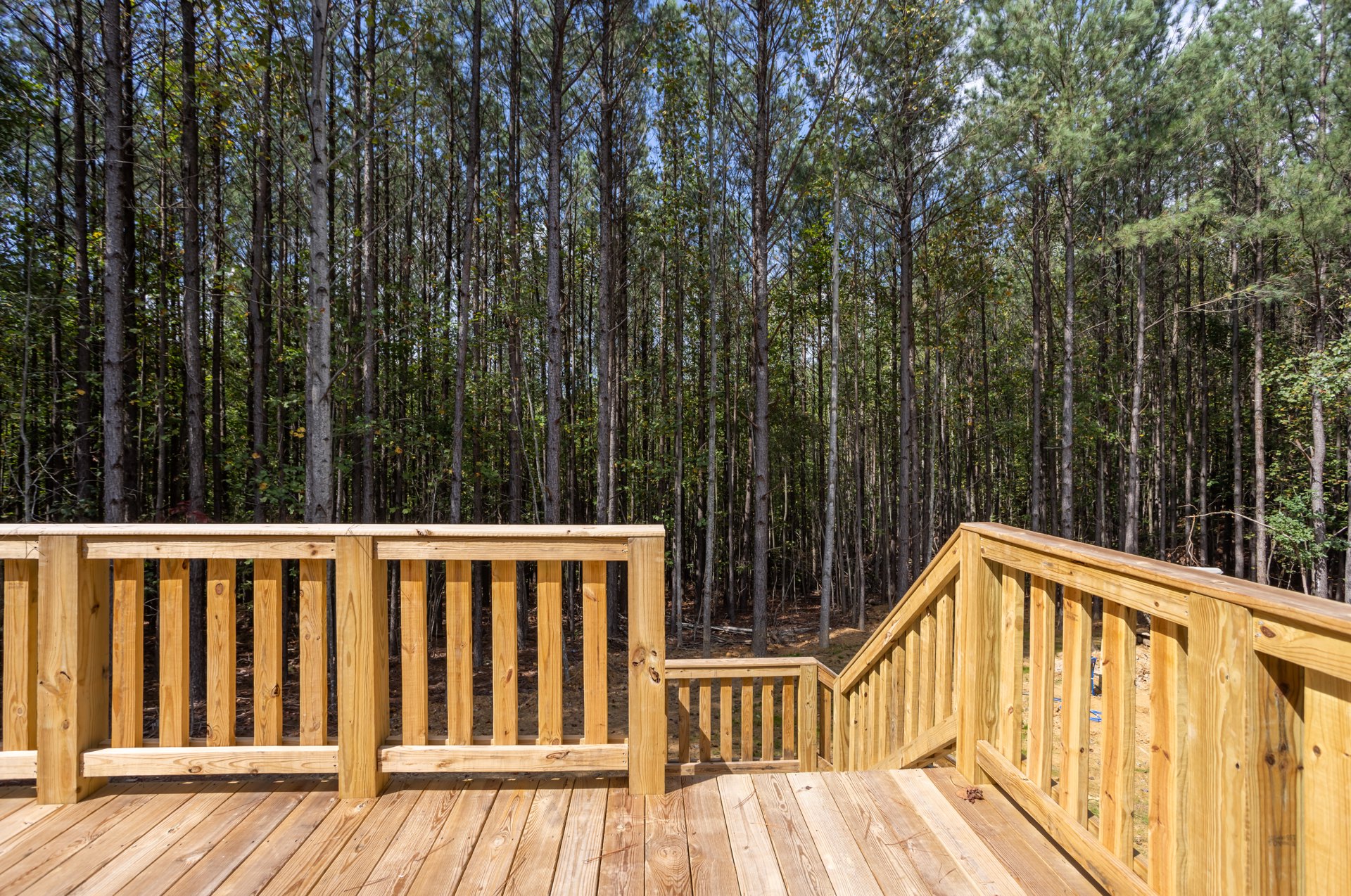 Wooden deck with horizontal railing surrounded by tall trees and forest undergrowth