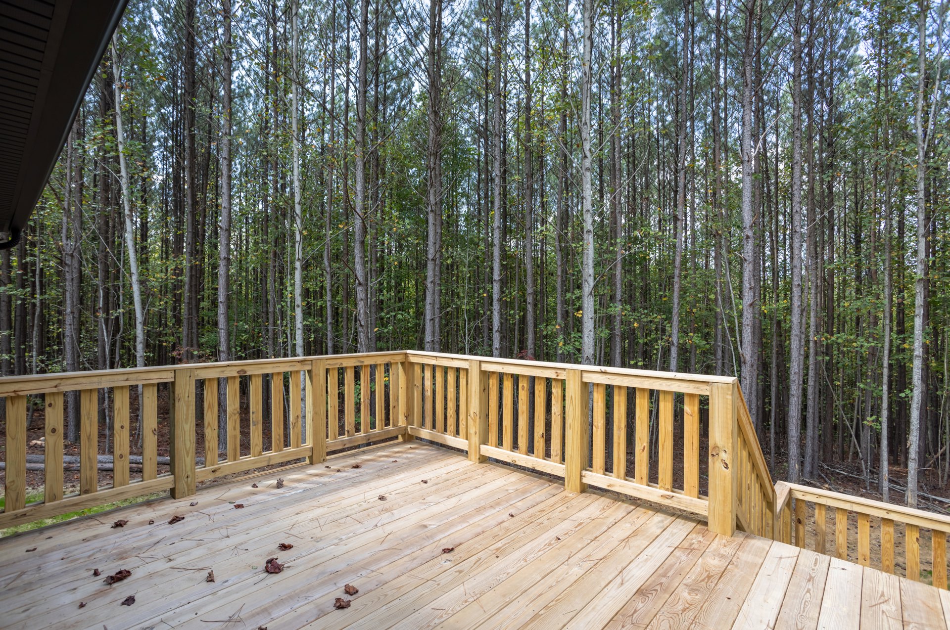 Wood deck with a wooden railing, surrounded by tall trees and leafy forest ground