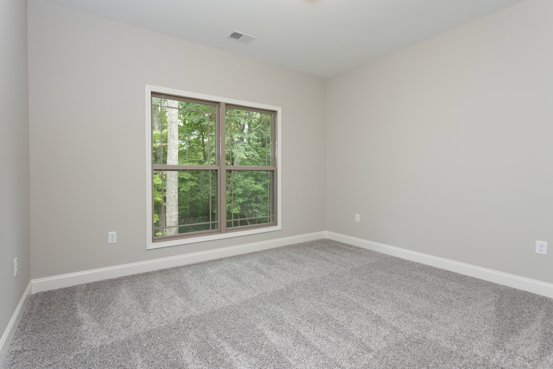 Carpeted room with white plaster walls, large window overlooking green trees, natural light illuminating neutral flooring