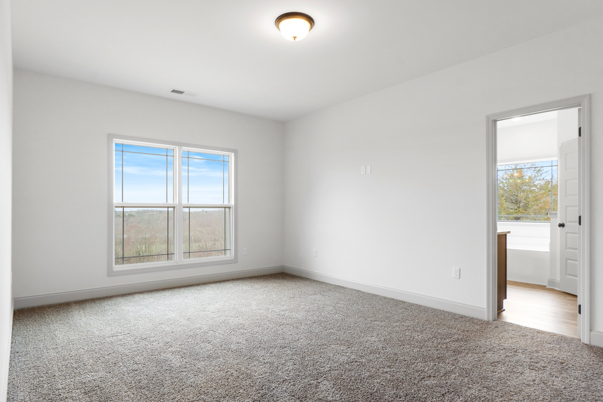 Bright room with white plaster walls, large windows overlooking trees, beige carpet flooring, wooden door, and modern ceiling light fixture