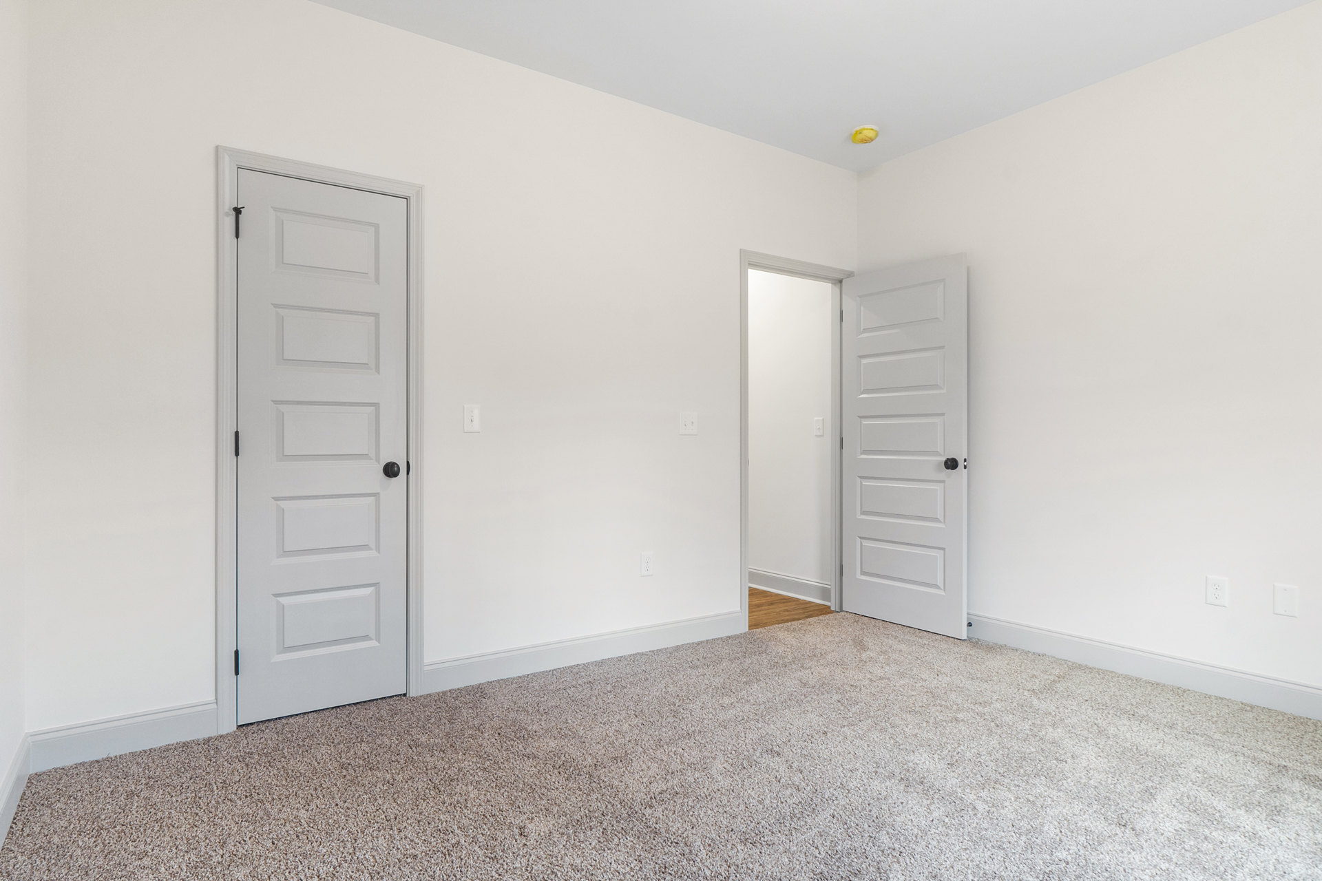 Carpeted room with two open white doors featuring black knobs, light switch on wall, plaster walls, and neutral finishes