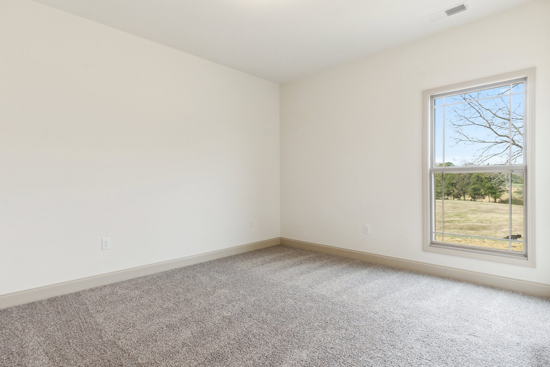 Carpeted room with white walls, large window overlooking trees, and white ceiling in the corner.