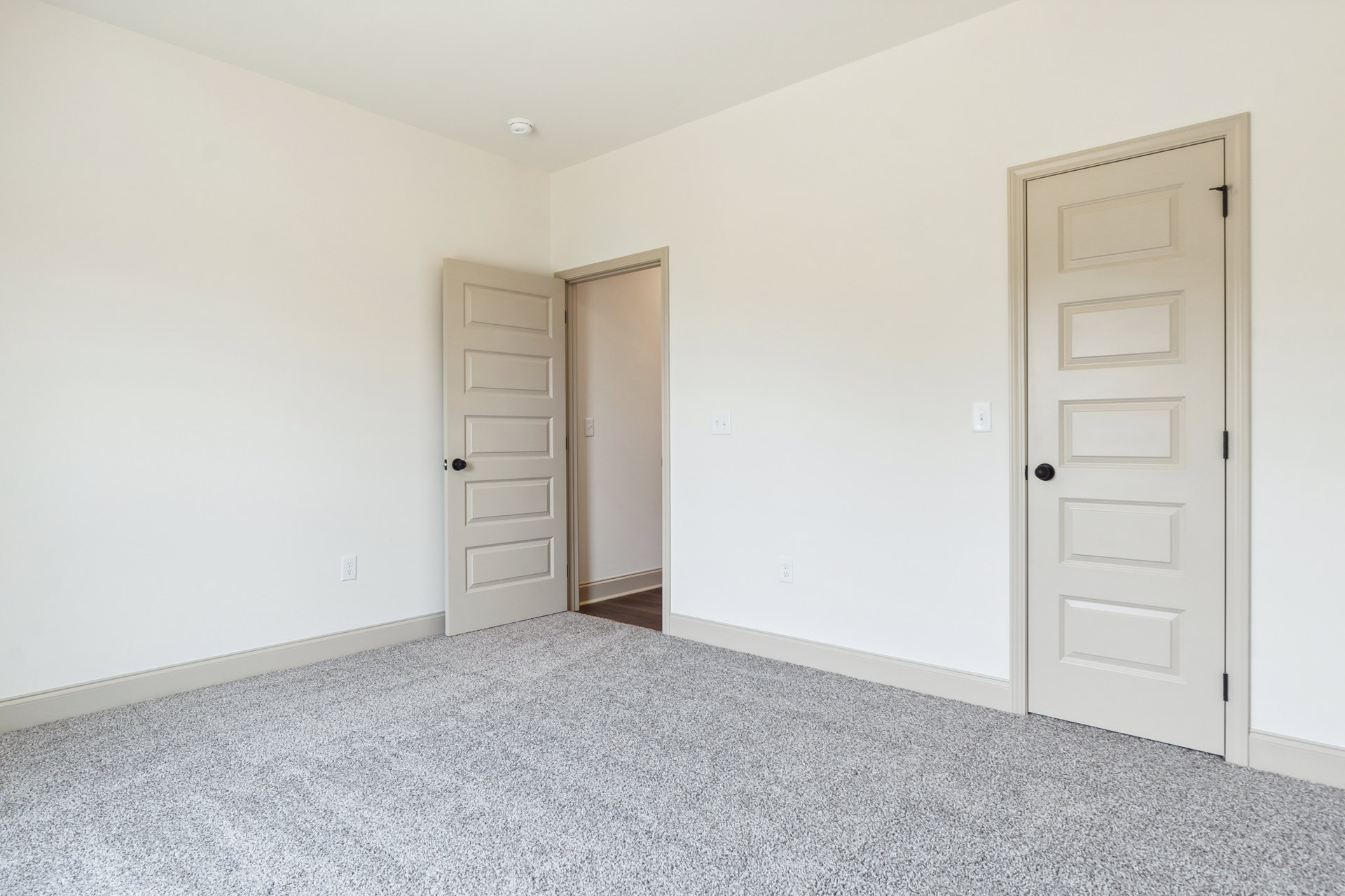 Carpeted room with two white doors featuring black knobs, light switch on pale wall