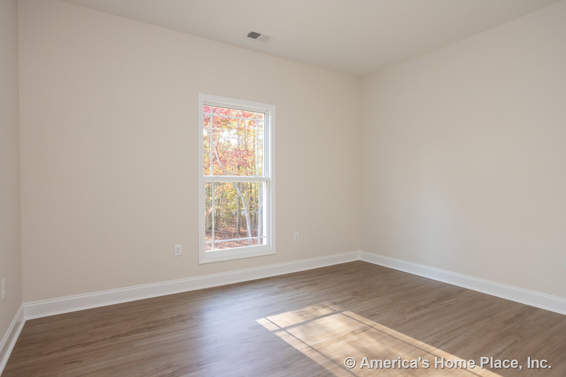Sunlit room with wide-plank hardwood flooring, white baseboards, and a large window overlooking leafy trees