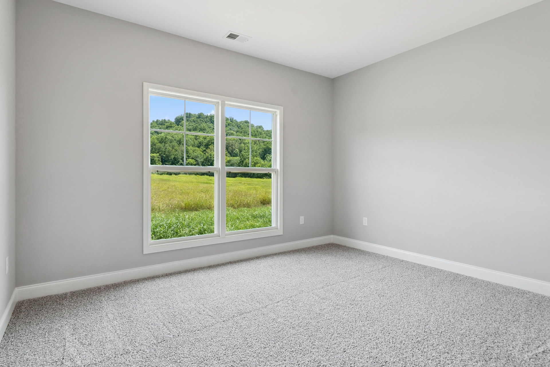 Bright room with white carpet, large window overlooking green grass and trees, smooth white walls, and plaster ceiling.
