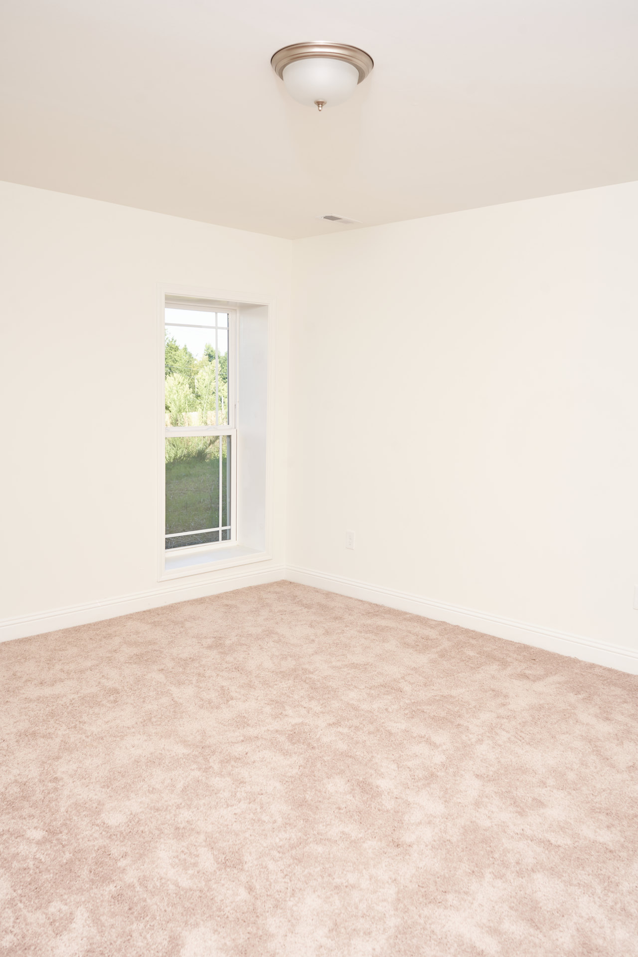 Neutral-toned carpeted room with plaster walls, large window overlooking grassy yard and trees, ceiling fan with light fixture