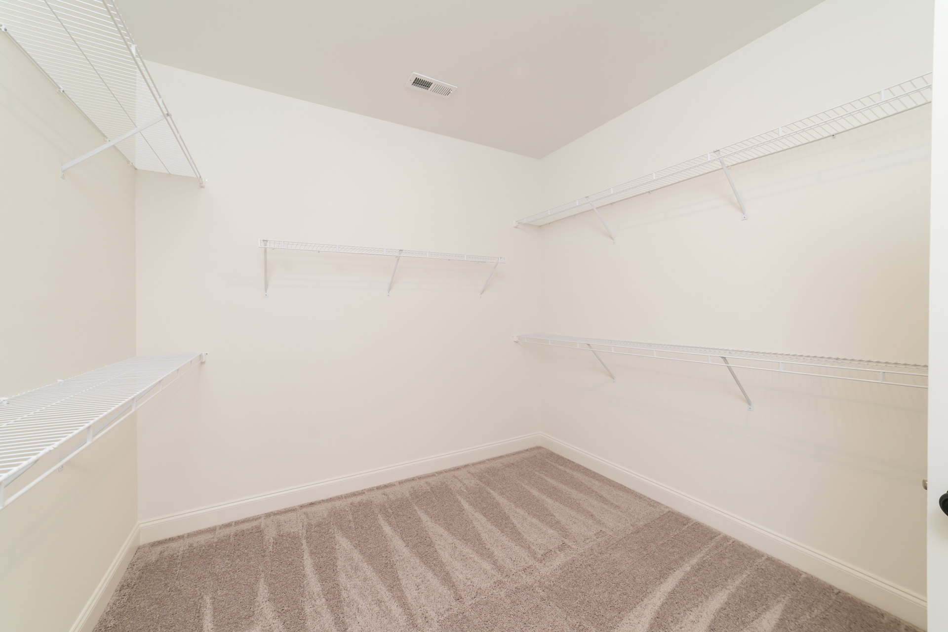 Empty walk-in closet with white built-in shelves, beige carpet flooring, white plaster walls, ceiling vent, and crown molding.