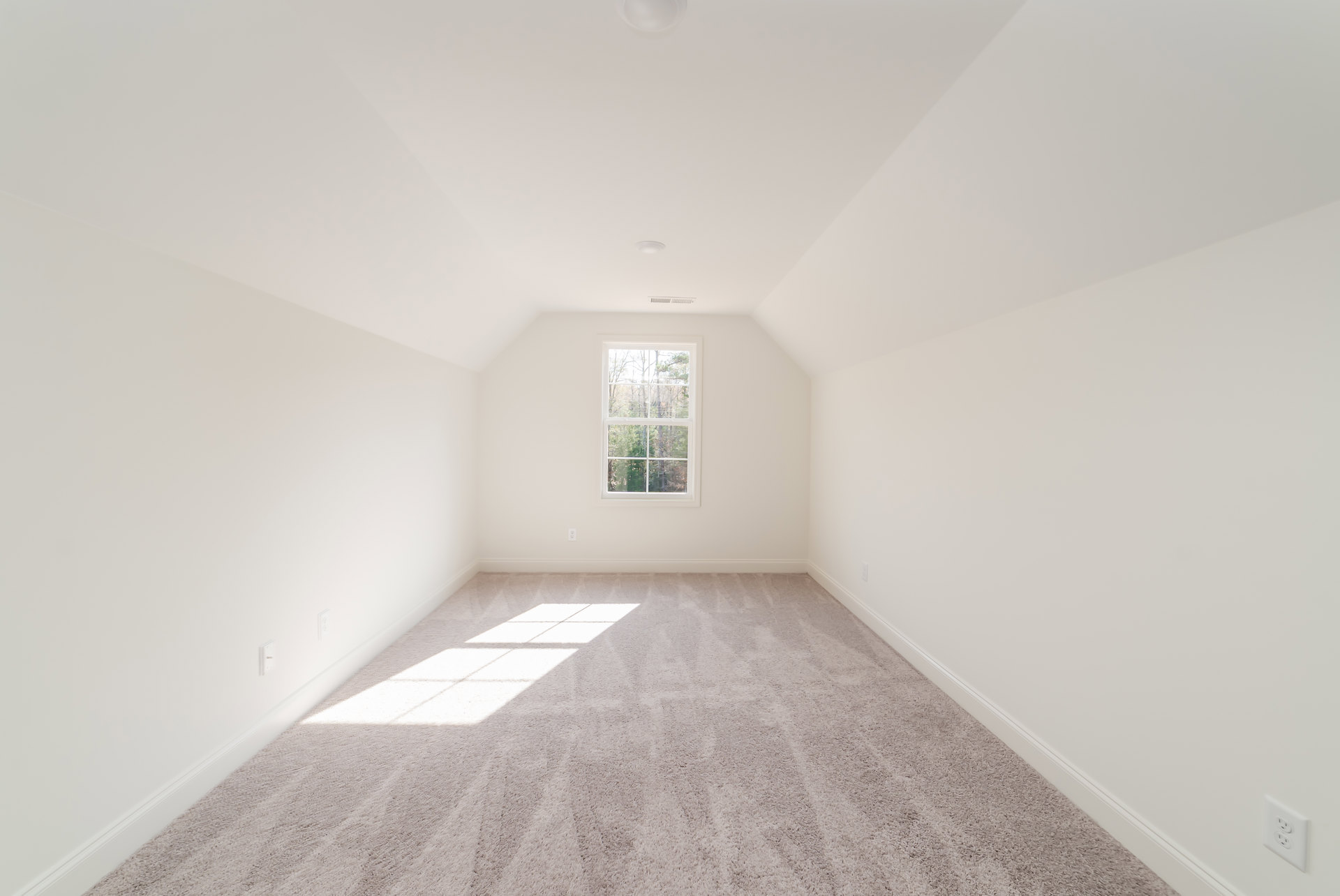 White carpeted room with large window, white walls, and electrical outlet; sunlight streaming onto floor, trees visible outside.