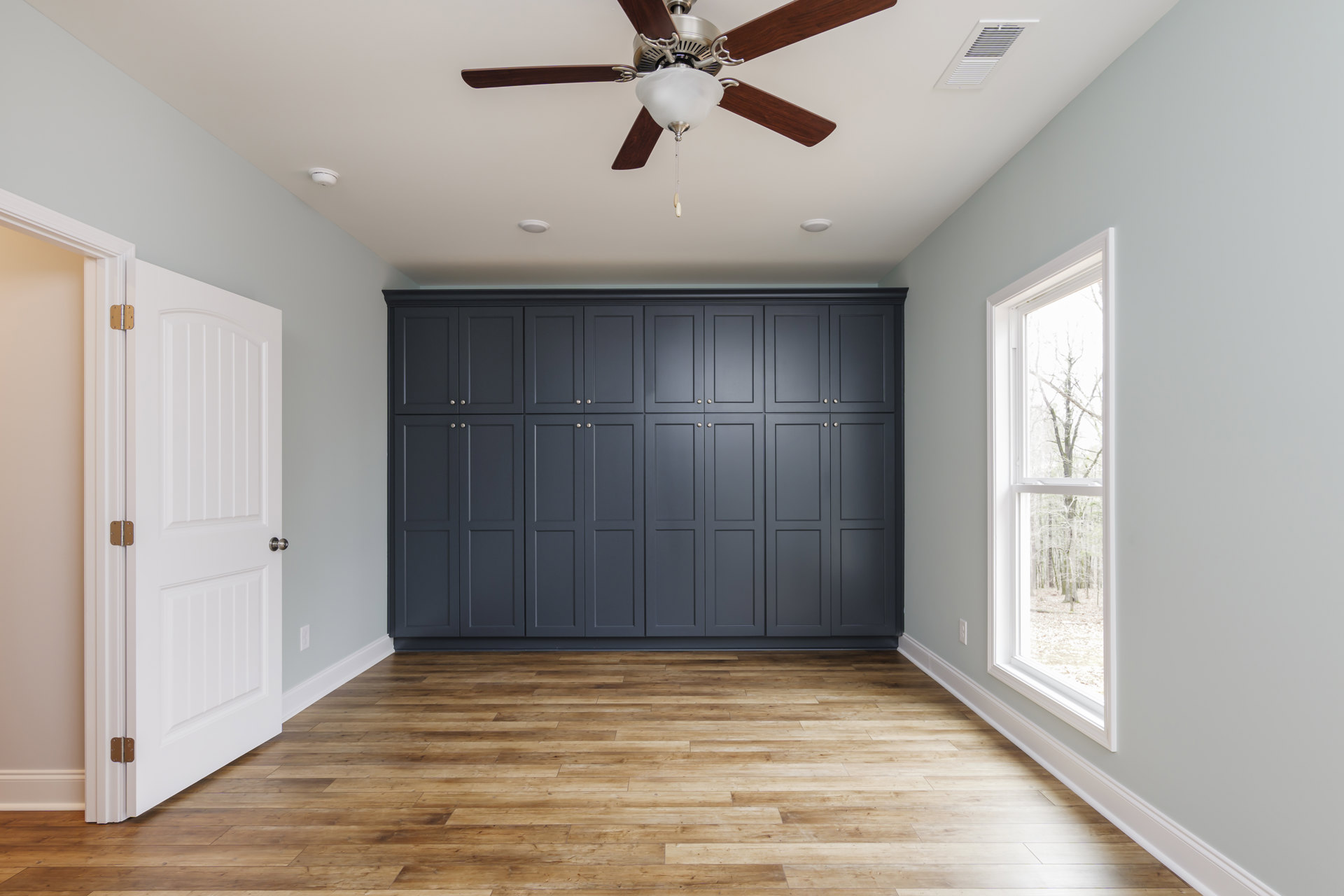 Ceiling fan with light fixture above wood flooring, blue accent wall, large black cabinet with multiple doors, window showing trees outside, close-up of grey door.
