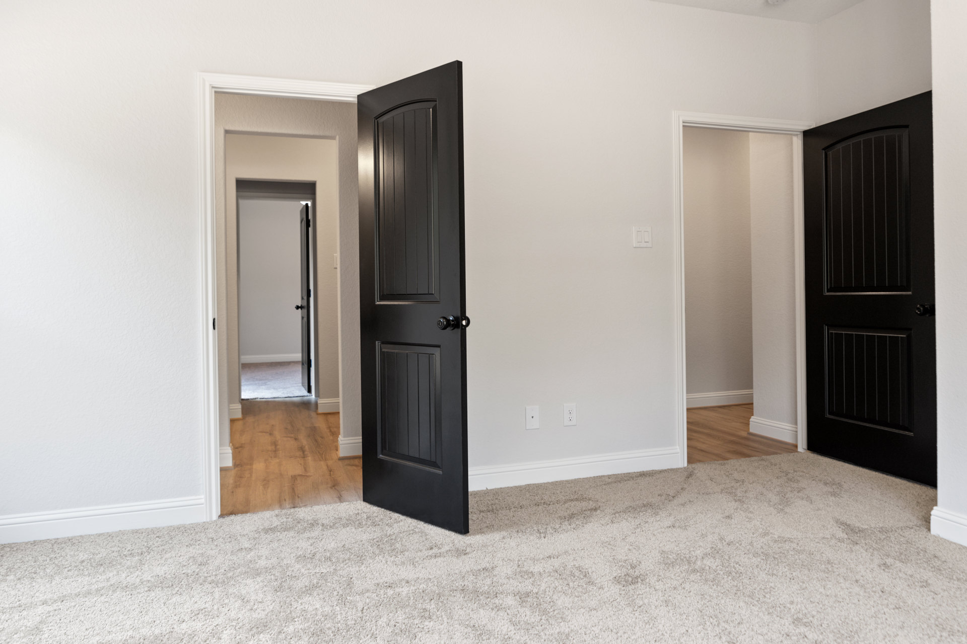 Matte black door with minimalist handle set in a white plaster wall, light-colored carpet flooring, and smooth ceiling in a modern interior room