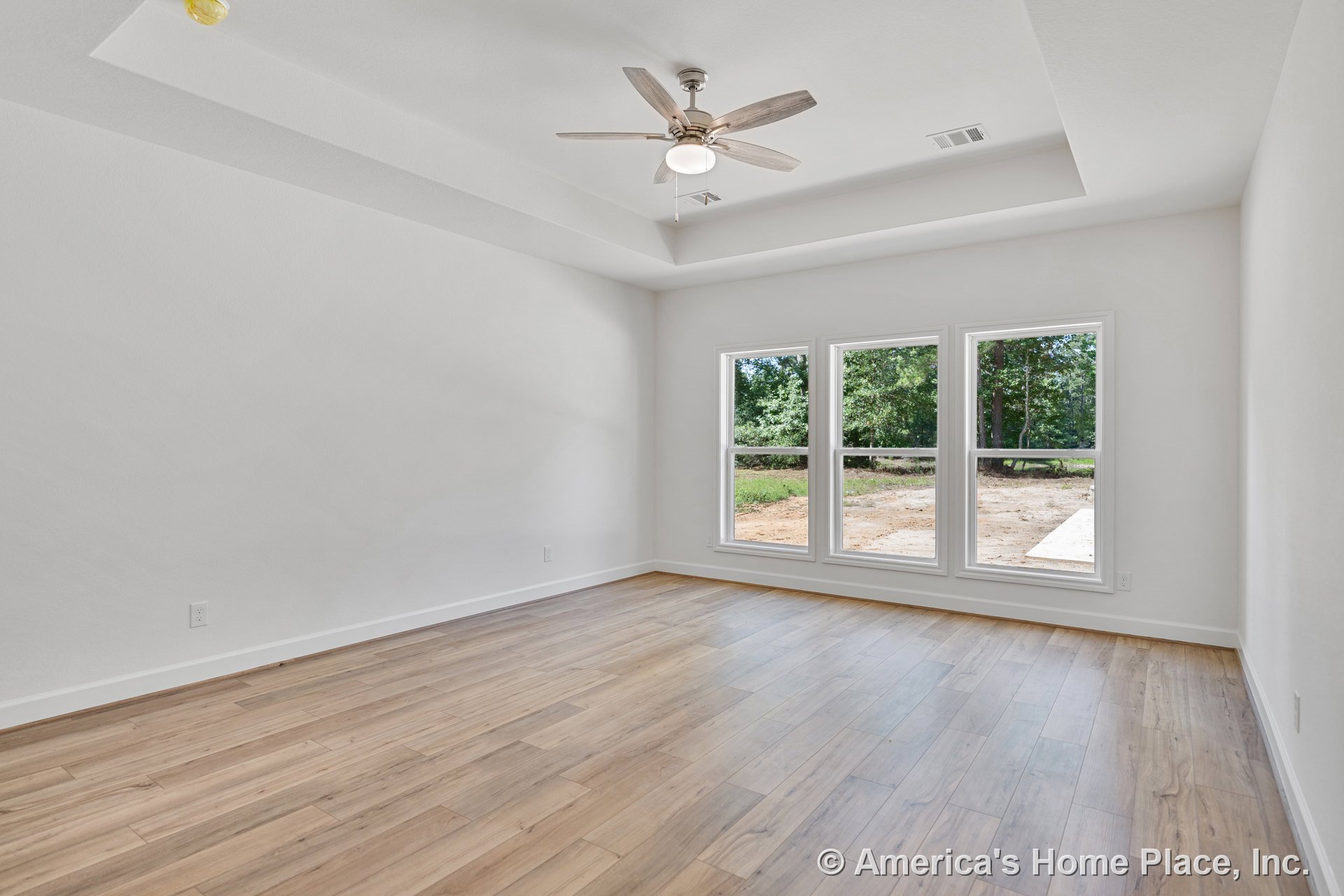 Tray ceiling with recessed detail and ceiling fan, three-pane windows along one wall, wood-look plank flooring, white baseboards, neutral wall paint, modern trim, abundant natural