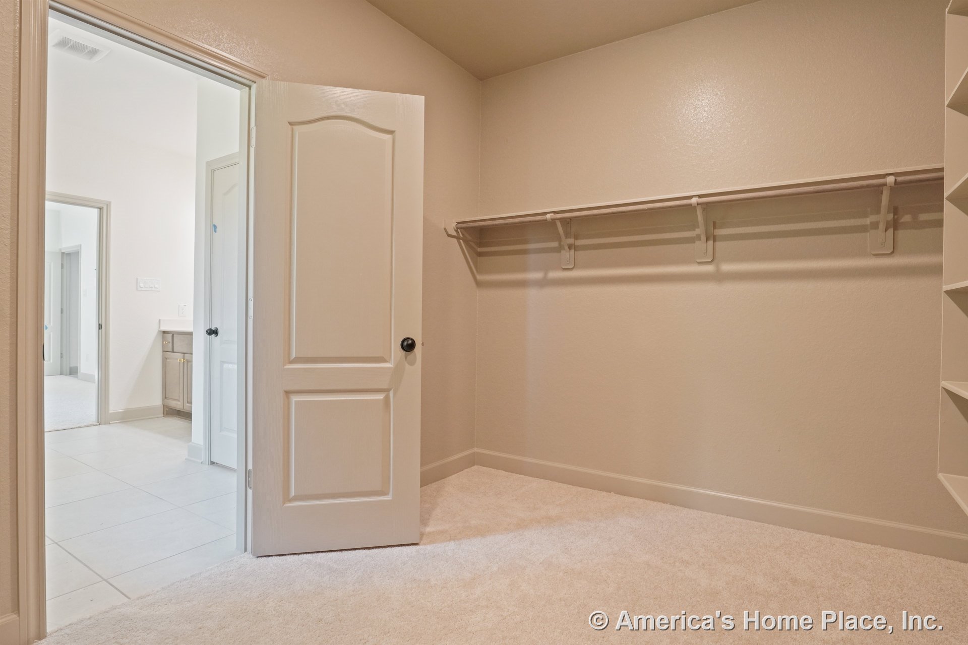 Walk-in closet with built-in shelving, hanging rod, carpet flooring, painted trim and baseboards, panel door, and view of adjacent bathroom cabinetry with tile flooring.