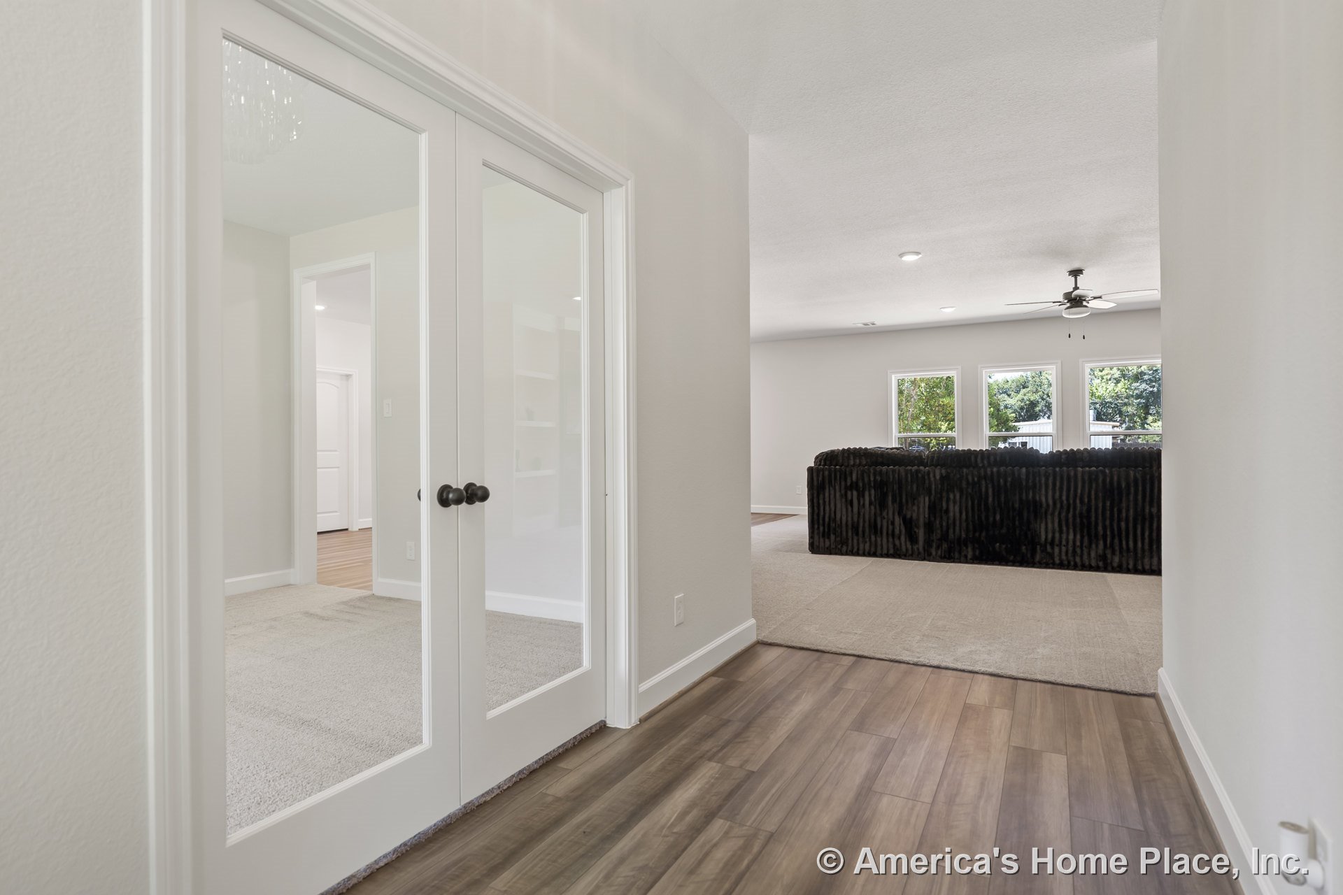 Glass double doors open to a foyer with wood-look plank flooring, white trim and baseboards, and neutral walls; entryway leads to a carpeted living room featuring three-pane