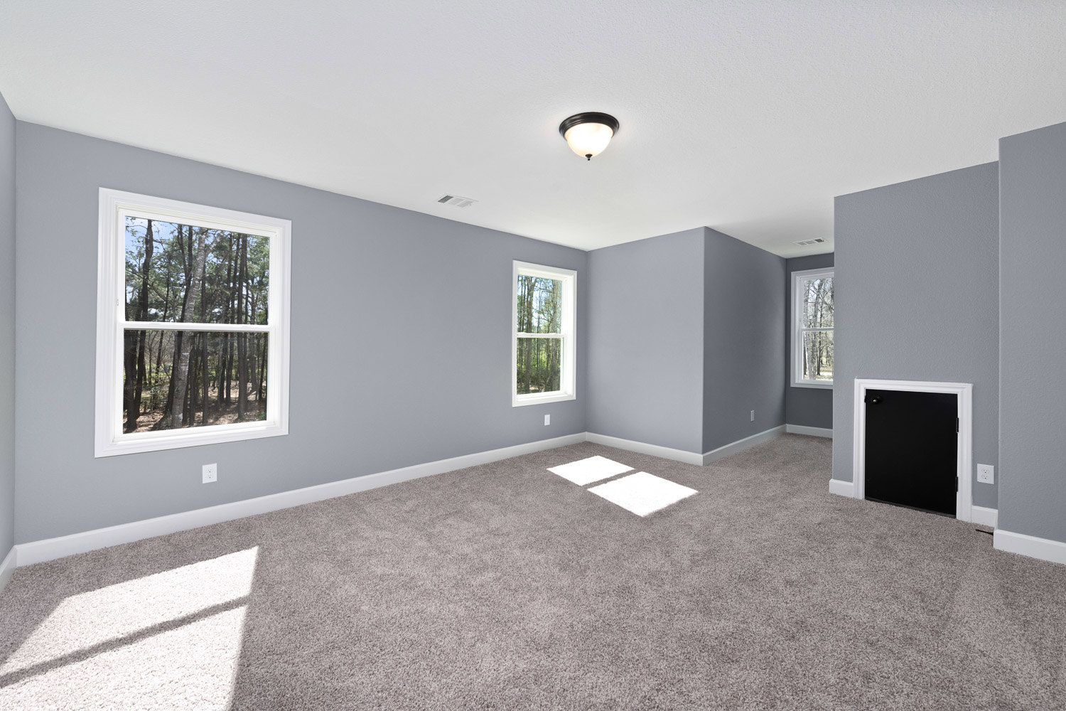 Sunlit carpeted room with large windows overlooking trees, black door with lock, ceiling light fixture, white square detail on grey carpet, pale walls and trim.
