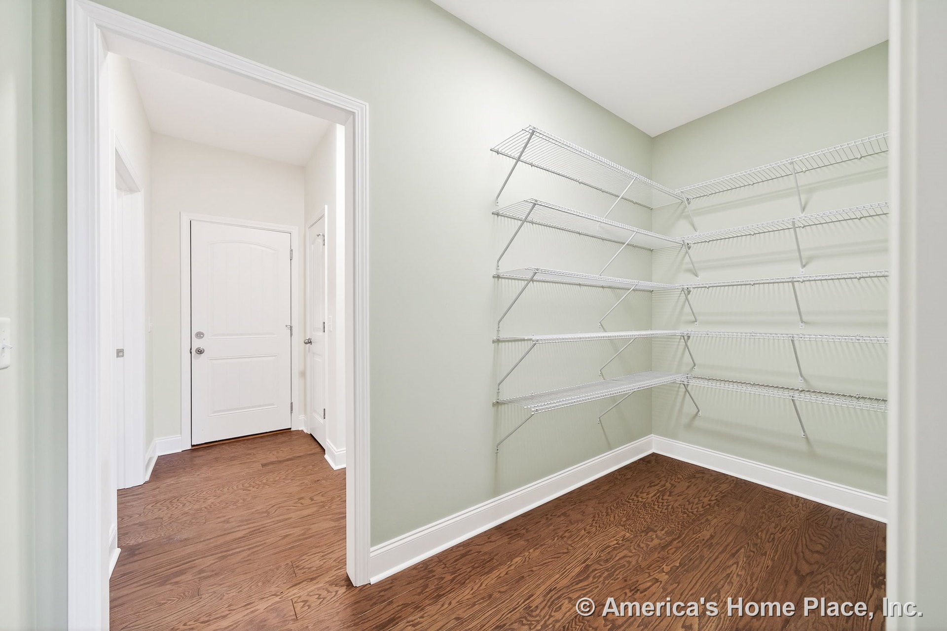 Walk-in pantry with built-in wire shelving on light green walls, hardwood flooring, white baseboards and trim, and an interior door.