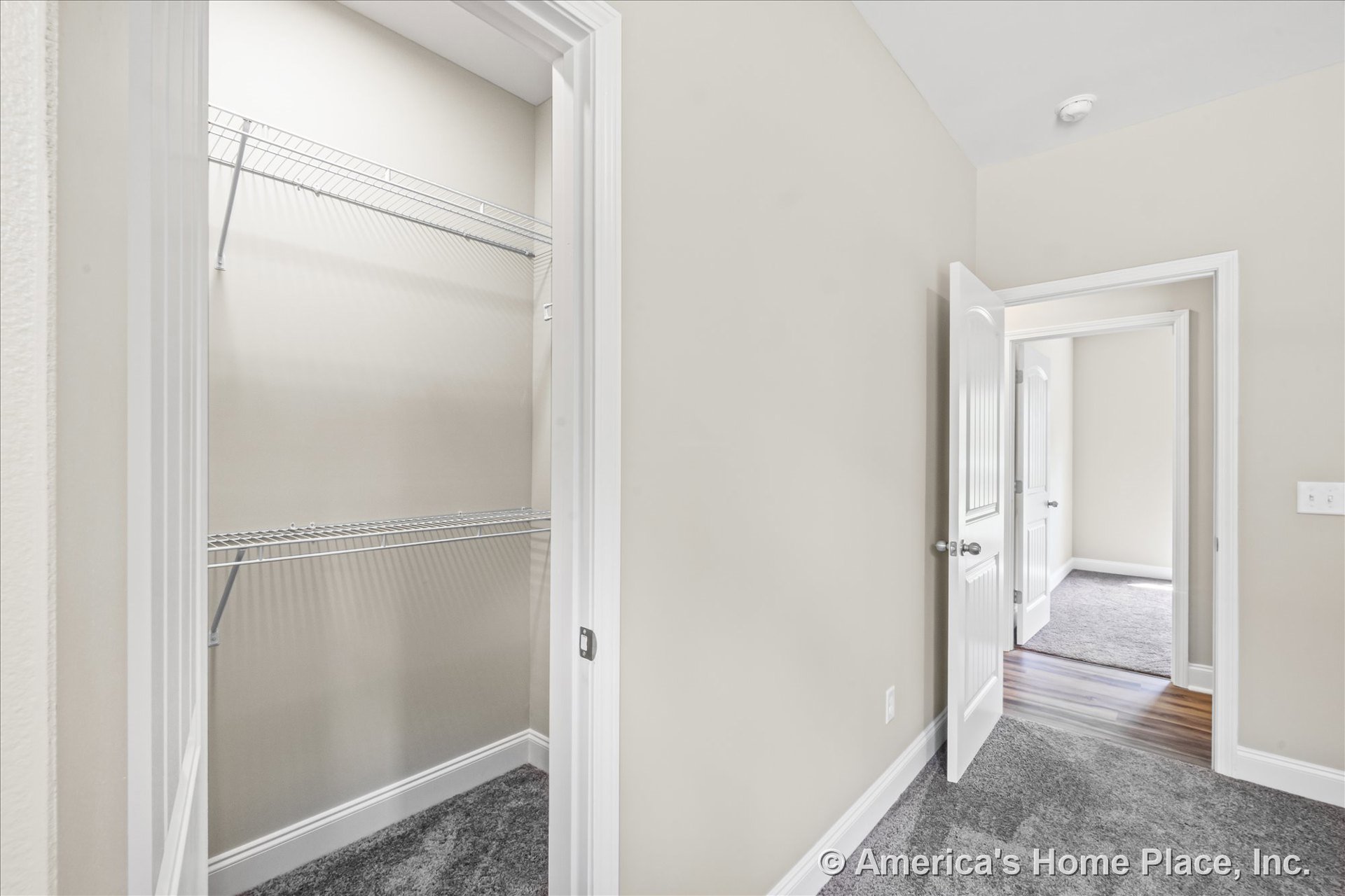 Walk-in closet featuring wire shelving next to a carpeted bedroom with white baseboards, paneled interior doors, neutral wall paint, and a transition to wood-look flooring.