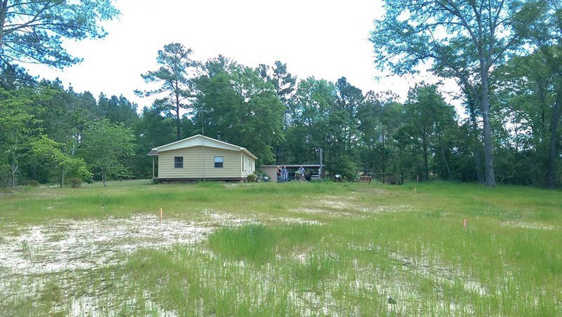 White farmhouse with gabled roof and large windows, surrounded by tall grass and mature trees under a blue sky