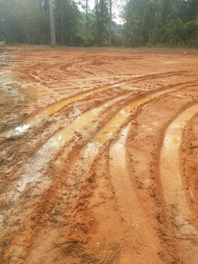 Muddy dirt field with deep tire tracks, surrounded by trees and bushes, patches of grass and straw visible along the road