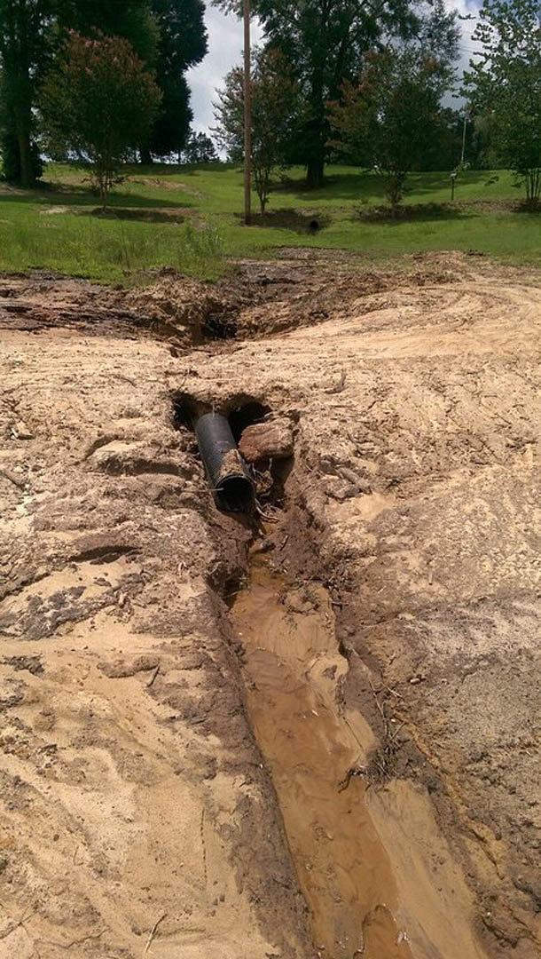 PVC pipe partially buried in muddy soil surrounded by grass, dirt, and small plants near trees