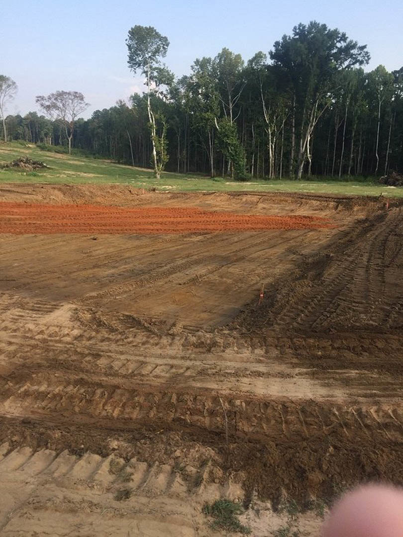 Dirt field bordered by tall trees, tire tracks visible on soil, grassy patches scattered across ground, clear sky overhead