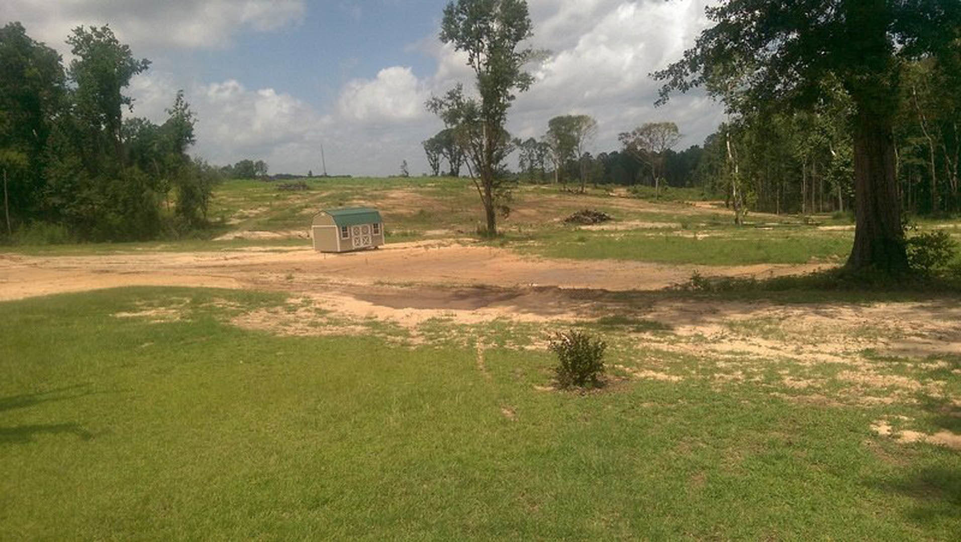 Small gray shed with green metal roof set in grassy field, leafy tree and bush nearby, cloudy sky overhead