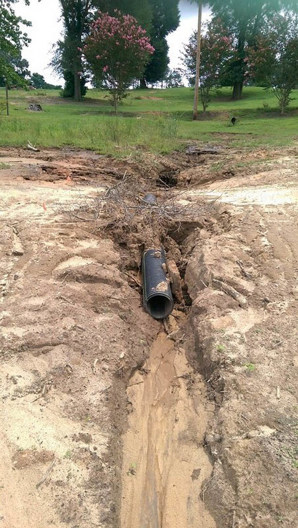 PVC pipe partially buried in loose soil near a tree with pink blossoms