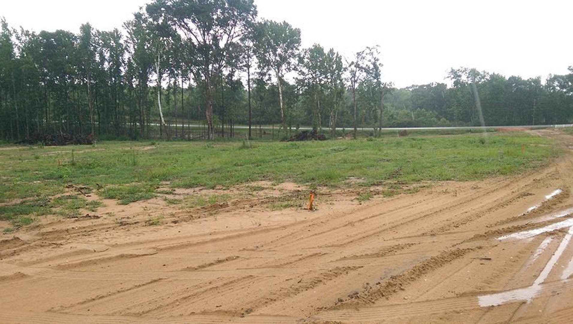 Dirt road with deep tire tracks running through grassy field, bordered by scattered trees and patches of mud, under open sky.