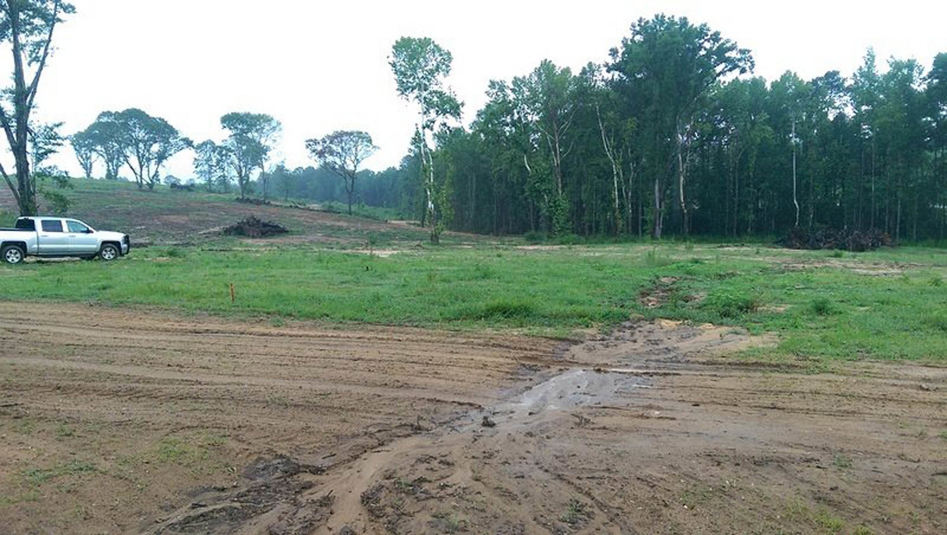 Dirt road bordered by green grass and trees, white car and silver truck parked on roadside, tall tree with dense green leaves in background