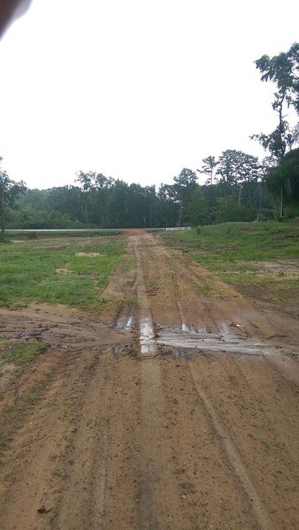 Dirt road with muddy puddle and tire tracks, bordered by grass and trees under a cloudy sky