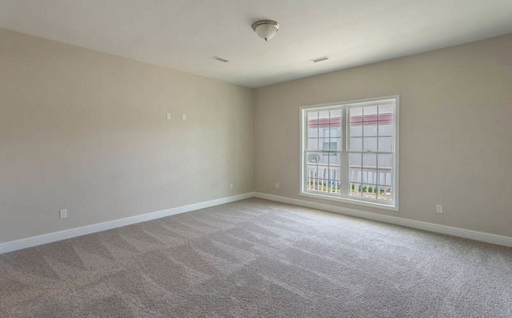 Carpeted room with white-framed window, light fixture on ceiling, neutral walls with crown molding
