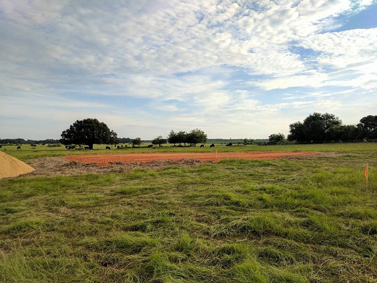 Dirt and grass field with a pile of sand, large tree, distant group of trees, cows grazing in the background, and blue sky with scattered clouds