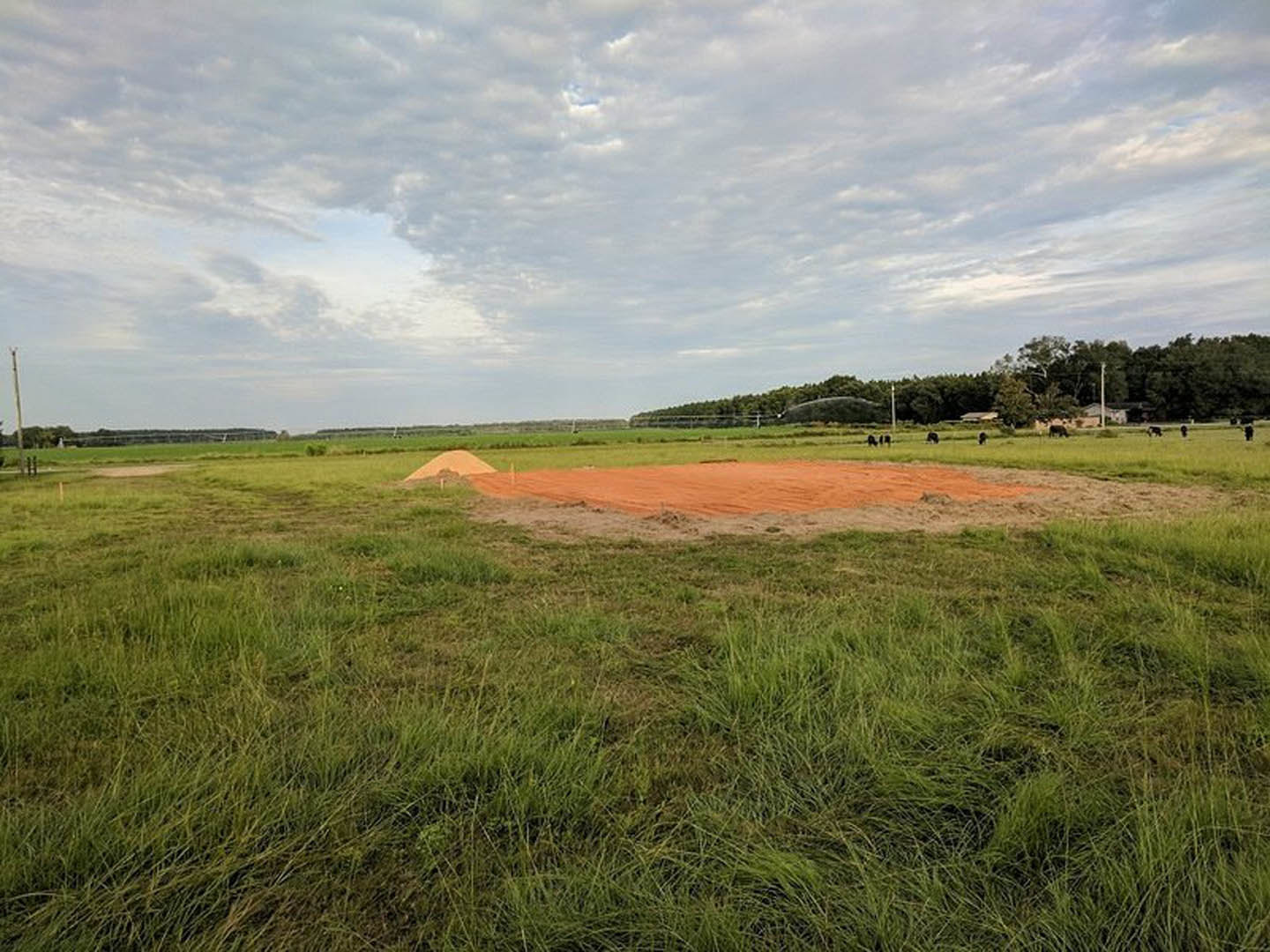 Dirt field with patches of grass, cows grazing in the distance, cloudy sky overhead, trees and a house visible in the background