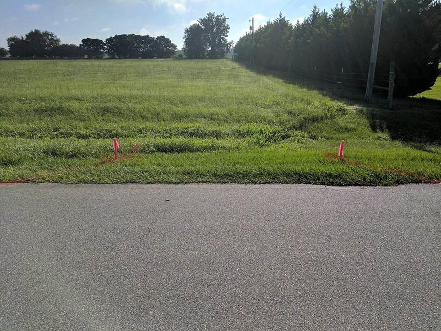 Paved road bordered by green grass, mature trees, and shrubs under a partly cloudy sky