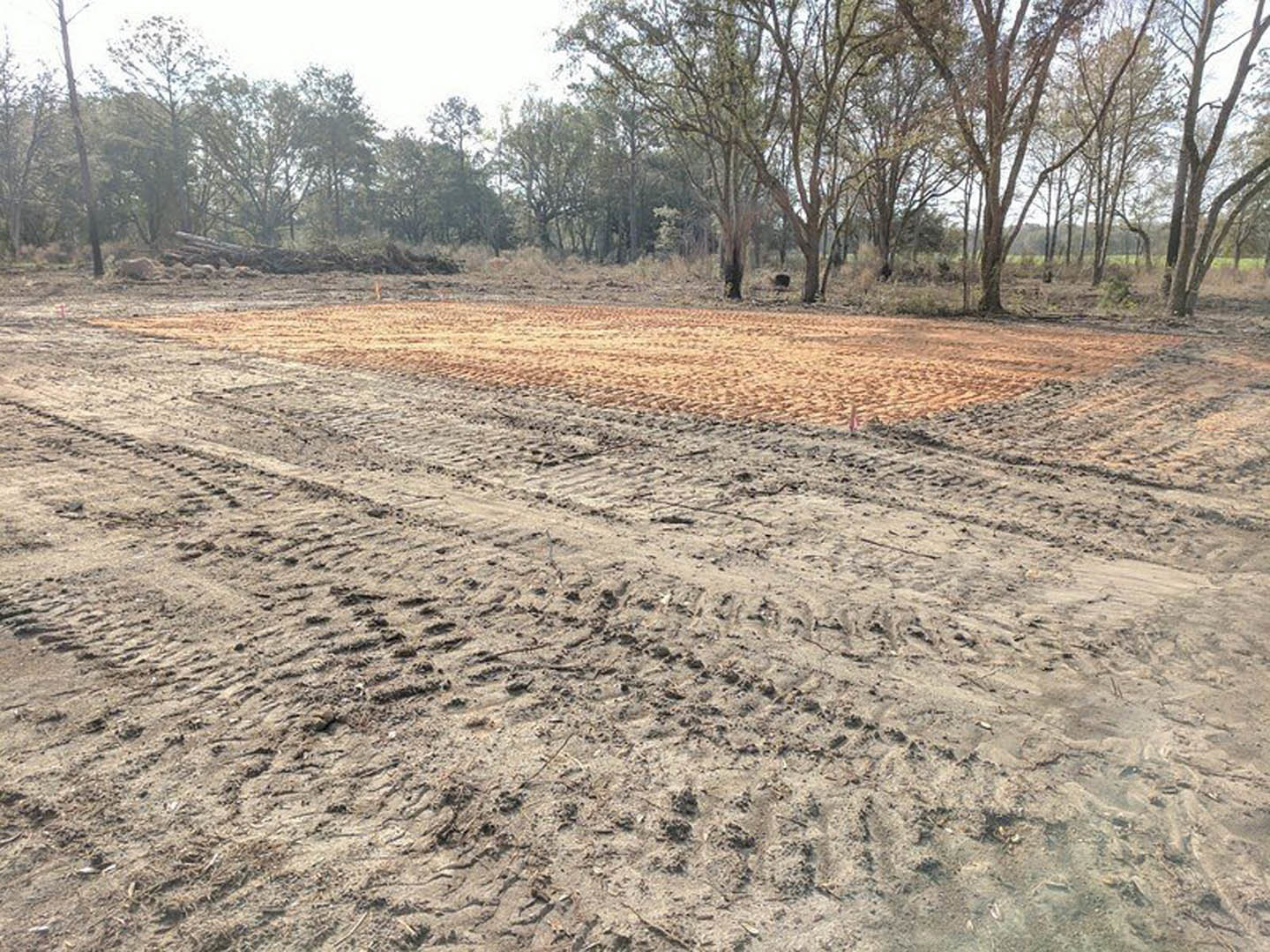 Dirt field with tire tracks bordered by trees under a clear sky