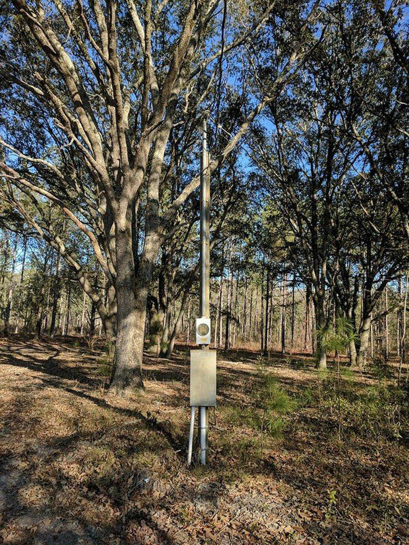 White rectangular modern home with black trim set among tall deciduous trees, surrounded by grass and forest floor.