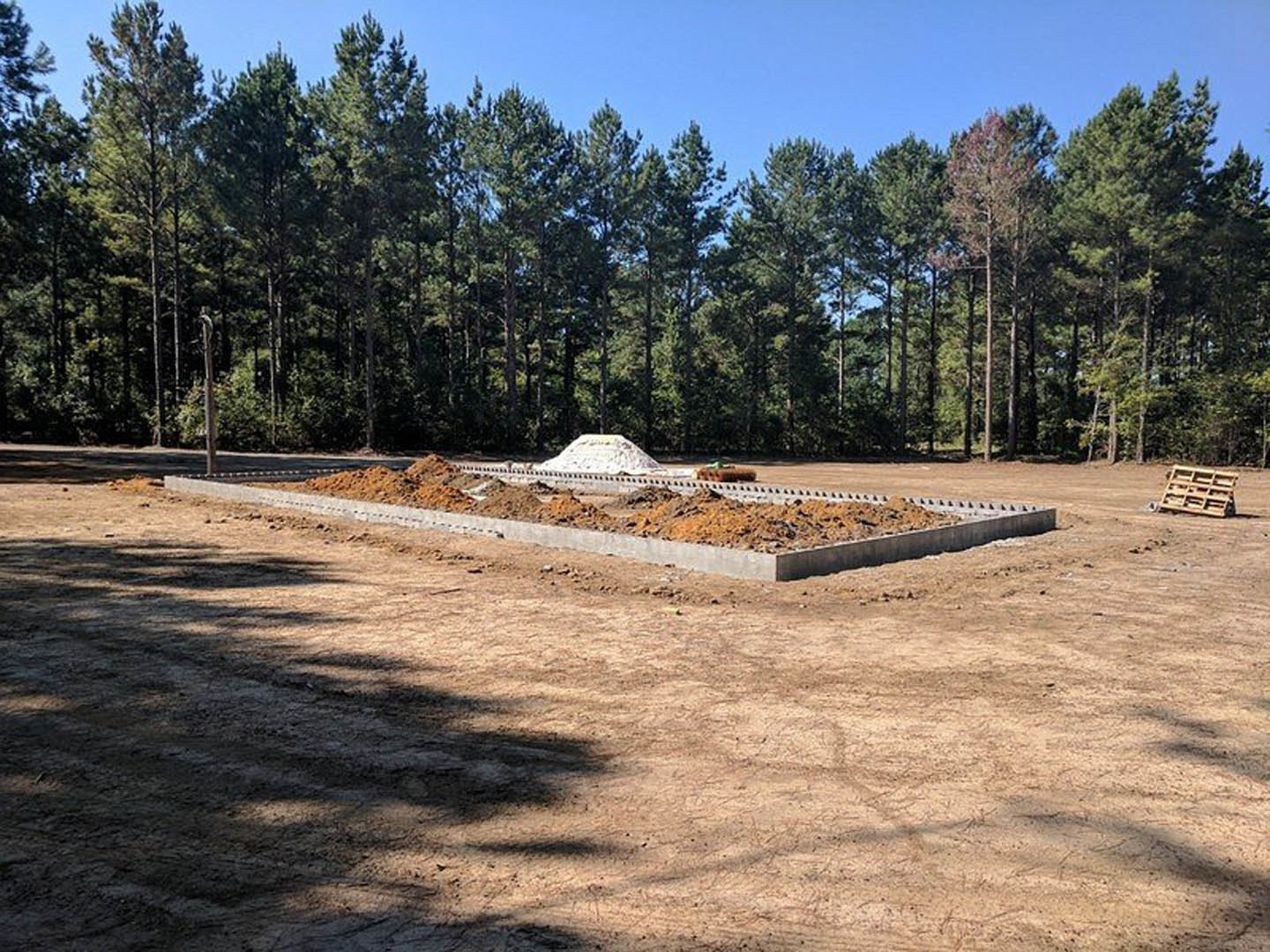 Large mound of loose dirt on bare ground, wooden pallet nearby, surrounded by tall trees under clear blue sky