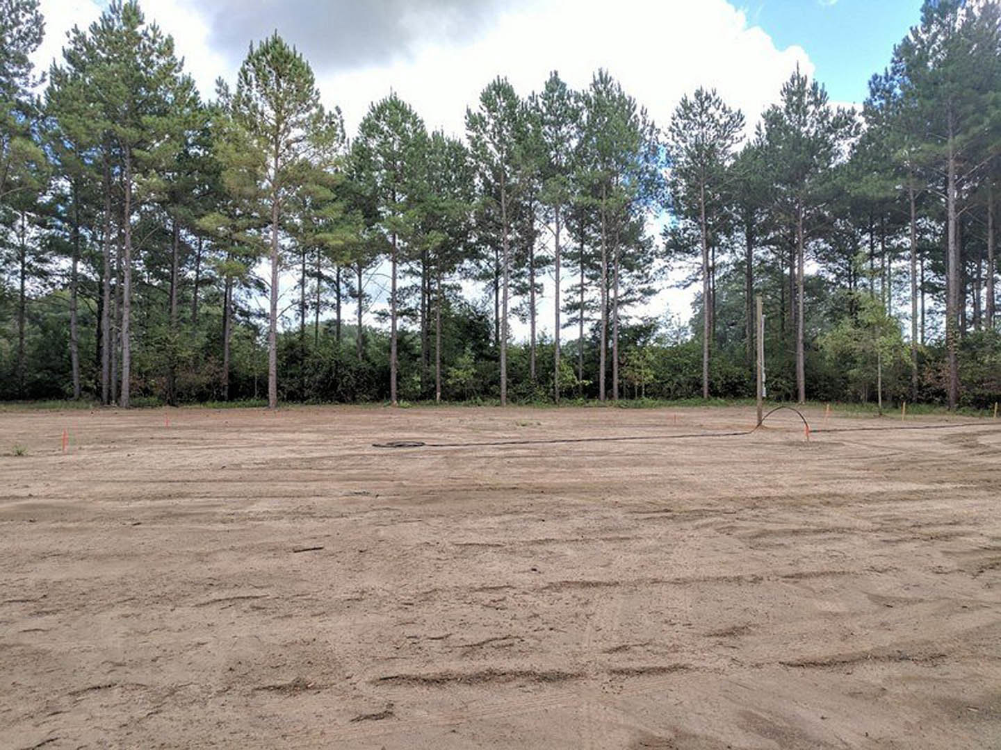 Dirt field with tire tracks bordered by dense conifer trees under a cloudy sky