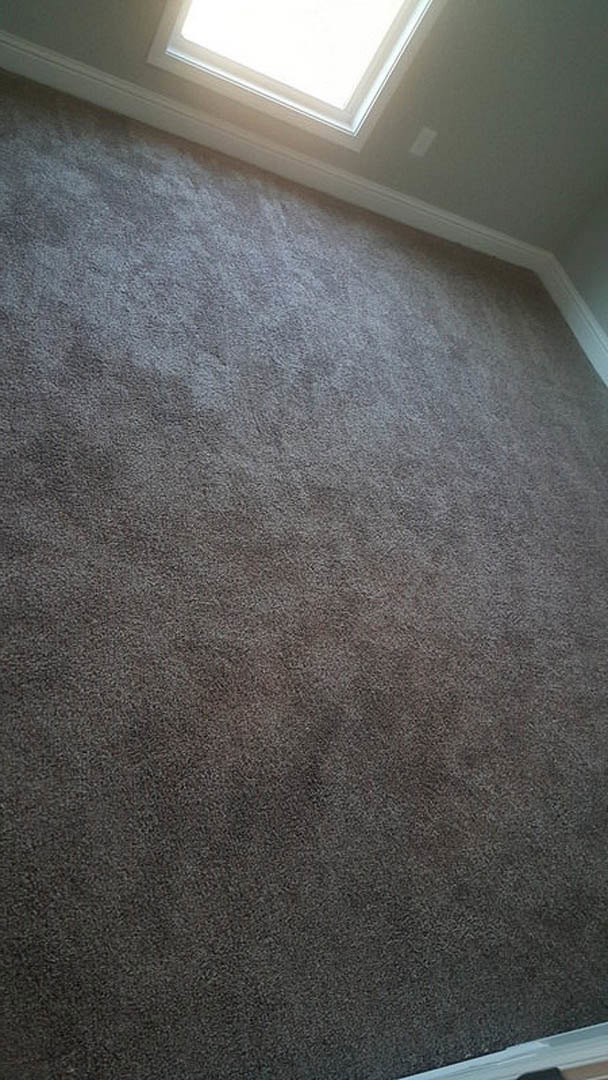 Grey carpet flooring in a room with white walls, central ceiling light, and sunlight streaming through a window.