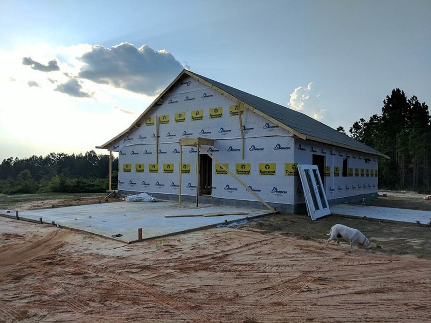 Wood-framed house under construction with exposed walls and door, pig walking across dirt road with tire tracks, white dog with black tail nearby, ladder leaning against structure