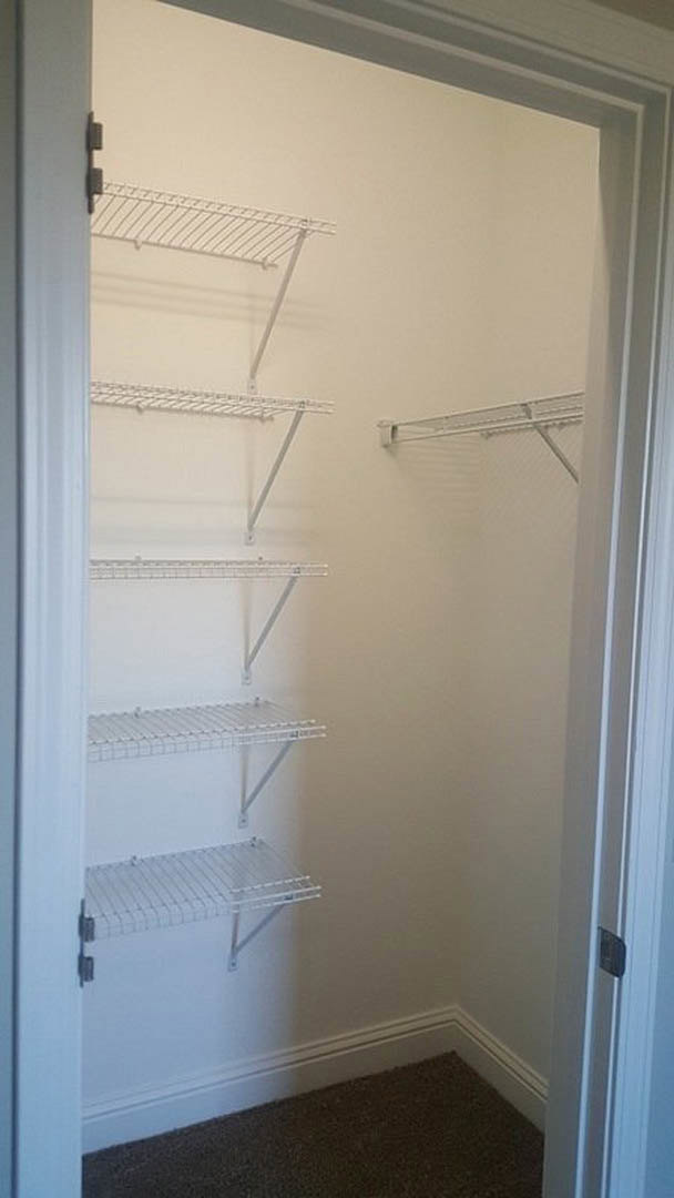 Walk-in closet with white shelves, carpeted floor, white door, and white light fixture on plaster wall