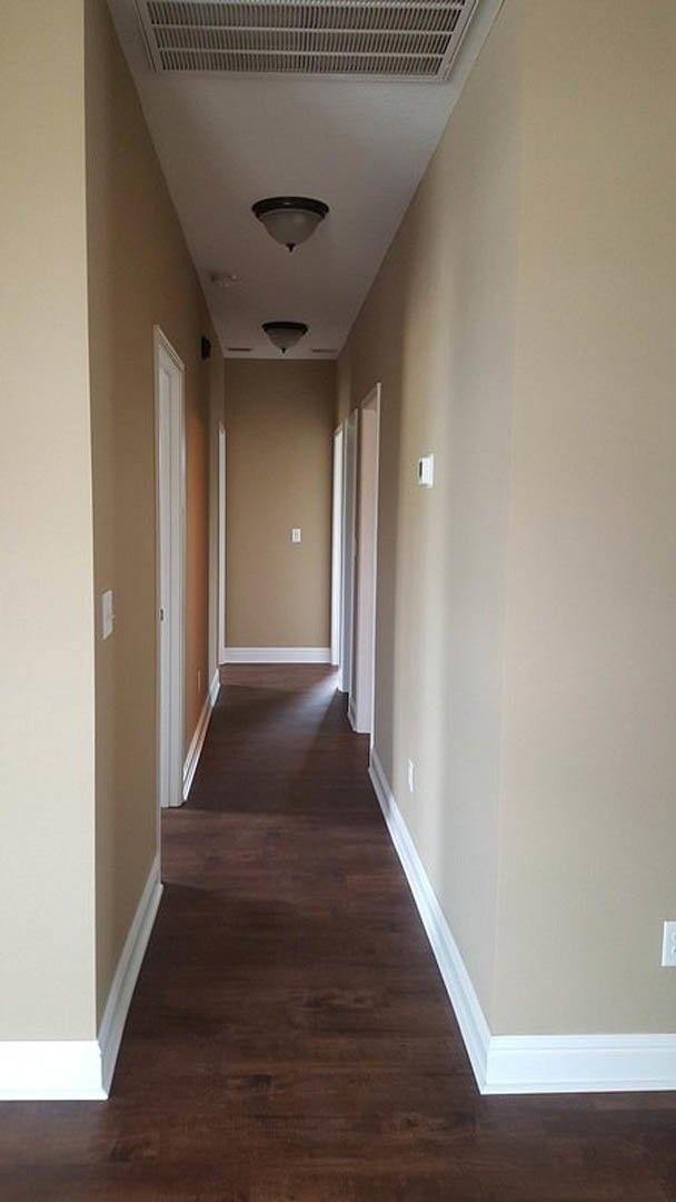 Hallway with brown painted walls, wood plank flooring, white baseboard trim, ceiling light fixture, and visible wall-mounted light switch
