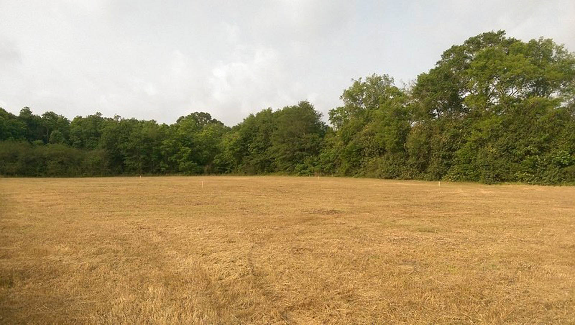 Expansive grassy field bordered by mature trees and dense green foliage under a partly cloudy sky